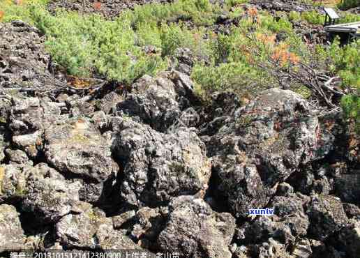 阿尔山地区的火山岩石种类及其地质特征