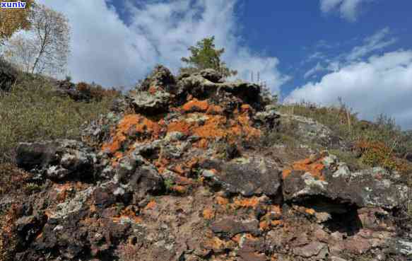 阿尔山地区的多样化火山岩石类型及其地质意义