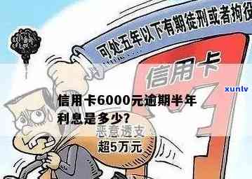 信用卡6000块钱逾期怎么办：逾期一年会怎样，一天多少钱？