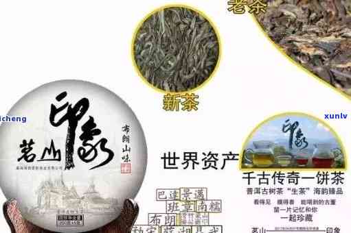 云川普洱茶：云南普洱茶云川案件探讨