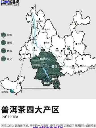 探索普洱茶十大产地：哪个生茶产区最令人惊艳？