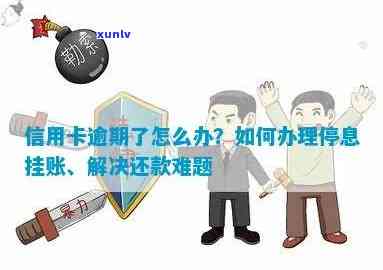 信用卡逾期还款怎么办？停息挂账全面解决指南