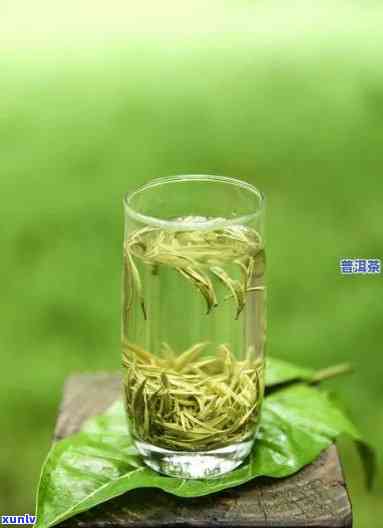 普洱茶与绿茶：一种新品味，两种功效对比