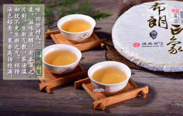 新班章布朗南糯茶：云南普洱茶的韵味与印象