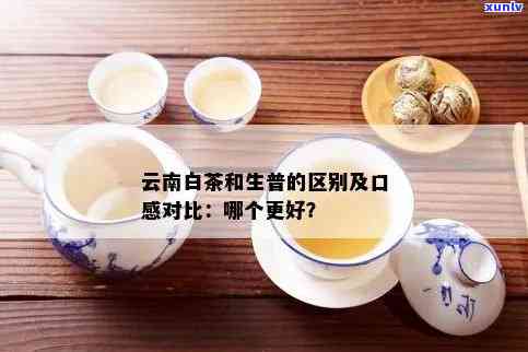 白茶与生普洱：口感对比解析，深入了解两种茶叶的独特风味