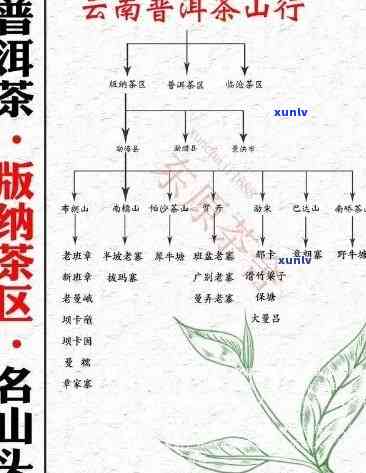 布朗山的老班章茶：产地、品质与风味的全面解析