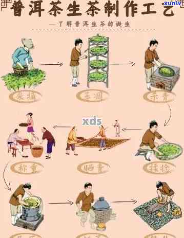 普洱大厂与小厂 *** 工艺之比较：深入解析普洱茶的不同之处
