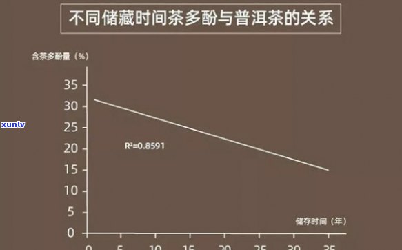 全面解析老班章茶的多酚含量及其对人体健的影响