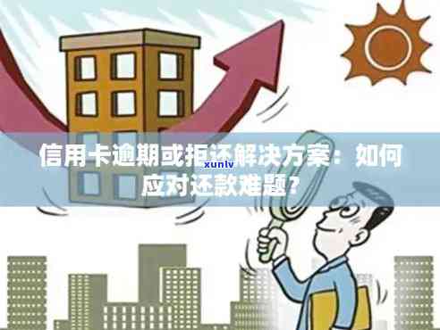 信用卡逾期还款困扰怎么办：实用解决方案与应对技巧