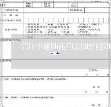 信用卡逾期资金说明模板