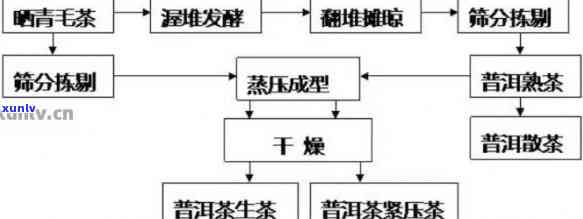 全面解构7262普洱茶：品种、 *** 工艺、口感、功效、购买指南与品鉴技巧