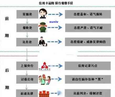 信用卡逾期异议解决全攻略：如何应对、申诉及预防措一文看懂