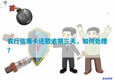 农行信用卡逾期还款攻略：如何处理不良信用记录？