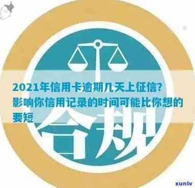 枣香普洱茶的多种分类及其特点：从原料、工艺到口感的全面解析