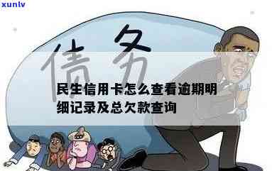 民生信用卡逾期查询怎么查总欠款？请提供相关官网或系统信息。