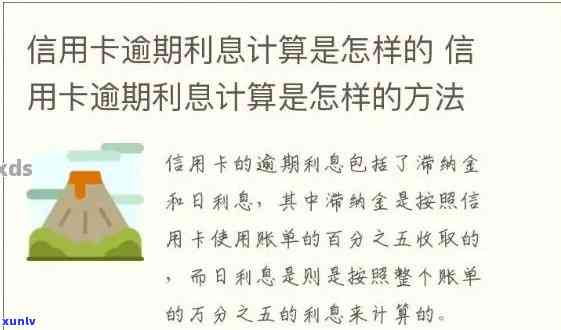 招行信用卡逾期利息计算公式详细指南：如何正确计算逾期利息