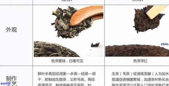 老班章茶：生茶与熟茶的区别及其特点解析，助您轻松辨别和品鉴