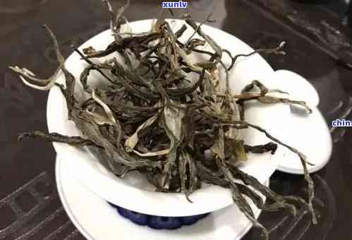 老班章和景迈茶的区别与优劣比较：哪个更适合你的口味？