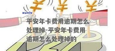 平安信用卡年费怎么逾期