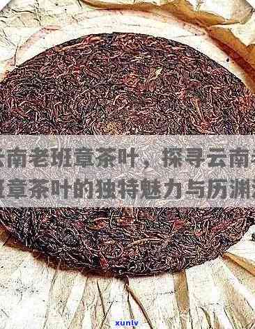 探究老班章的独特魅力：一款普洱茶的不凡之处