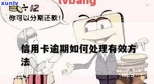 信用卡逾期几年怎么处理好：处理策略与建议