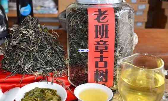 春明茶厂班章古树茶：品鉴与购买指南，了解优质茶叶的挑选 *** 和购买建议