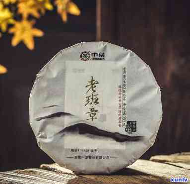 中茶2020年精选老班章古树生茶：大树普洱茶的尊贵之选