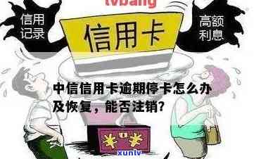 关于止付信用卡的处理方式：是否需要注销？如何操作？可能的影响有哪些？