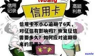 掌握信用卡逾期时间查询技巧，避免信用受损