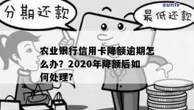 农业信用卡逾期导致额度降低的应对策略