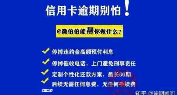 '怎么查看信用卡逾期还款时间：判断标准与影响'