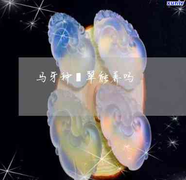 马牙种翡翠能养吗