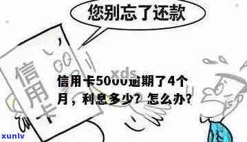 信用卡逾期5000元：解决方案、影响及如何应对