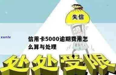 信用卡5000逾期费用的精确计算 *** 和实践技巧