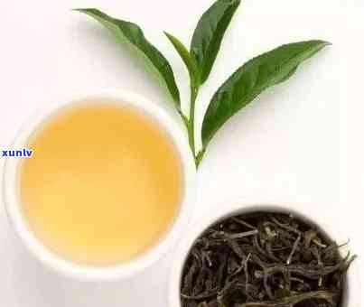 探索普洱茶的分类：它到底是绿茶还是其他类型的茶？