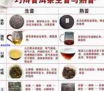 探索普洱茶的分类：它到底是绿茶还是其他类型的茶？