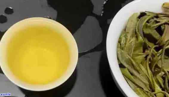 探究普洱生茶的分类及特点：属于哪种茶类？