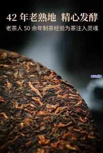 探索老班章茶熟茶的独特魅力：特点、口感及其品鉴 *** 