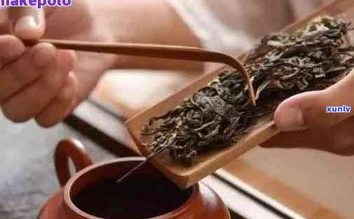 普洱茶的冲泡 *** ：生茶与熟茶的不同煮法，你了解吗？