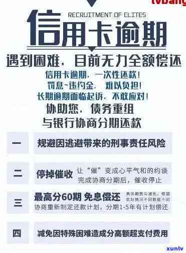 如何处理多张信用卡逾期问题，避免信用受损？