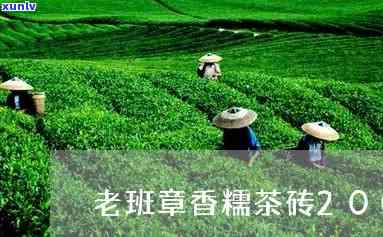 老班章糯香茶砖2005价格，存，好喝吗？老班章茶砖价格表