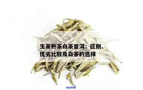 白茶与生普洱：对比分析与选择指南