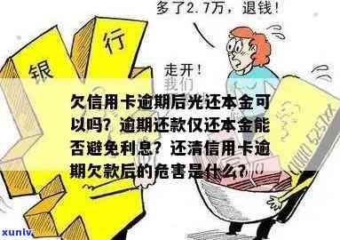 逾期还款后仅还本金是否可行？信用卡还款策略详解