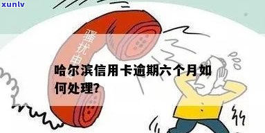 哈尔滨信用卡逾期处理业务