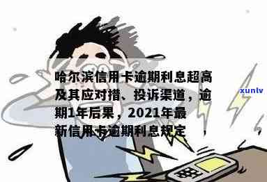 哈尔滨信用卡逾期处理业务