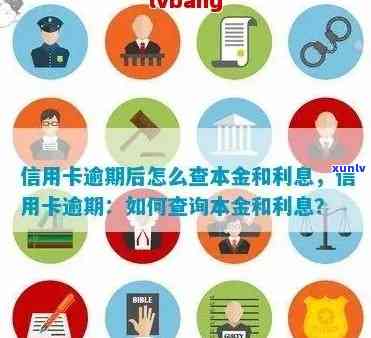 怎么查询信用卡逾期利息多少： 信用卡逾期利息查询 *** 