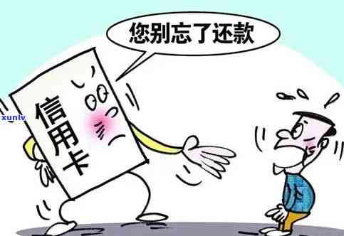 信用卡逾期还款困境：如何应对与解决？