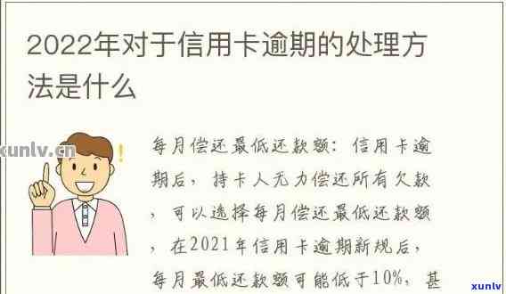 2022年信用卡逾期处理策略：政策解读、详细步骤与实践