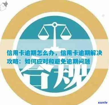 当信用卡逾期时，我应该采取哪些措？这里有一份全面指南帮助你解决问题