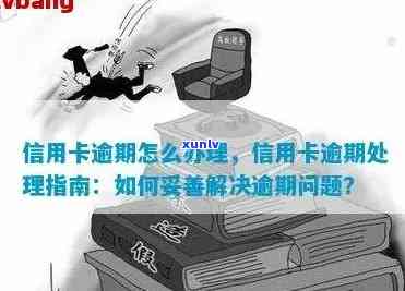 当信用卡逾期时，我应该采取哪些措？这里有一份全面指南帮助你解决问题